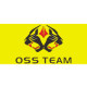 OSS Team