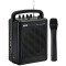 Ahuja WP-220M USB, Recording, Echo and Rechargable battery  for Indoor/Outdoor Portable PA system