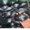 Original Wired Mouse Bulk|Wholsesale Branded Dell|HP|Lenovo|Acer|Logitech Renwed|Refurbished|Used|Old USB Mouse