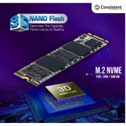 Consistent 256 GB M2 NVME Internal Solid State Drive NVME SSD