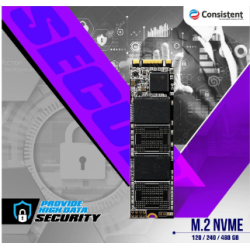 Consistent 512 GB M2 NVME Internal Solid State Drive NVME SSD