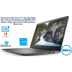 Dell Inspiron 3501 15.6-inch (10th Gen Core i3-1005G1/4GB/1TB HDD + 256GB SSD/Windows 10 Home + MS Office/Intel HD Graphics), Soft Mint FHD Laptop