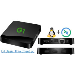 G1 Basic Thin Client VIRTUAL PC Desktop Mini Computer