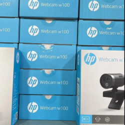 HP w100 480P 30 FPS Built-in Mic Digital Webcam