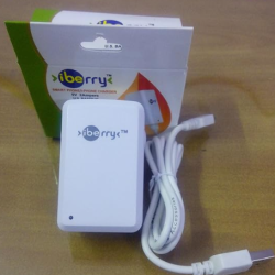 iberry Adapter 5V 2A Smart Mobile Phone Charger iberry Adapter 5V 2A Smart Mobile Phone Charger