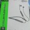 Mivi Collar Flash Pro Neckband Bluetooth Earphone