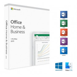 Microsoft Office 2019 Home and Business Ms Mini ESD Software