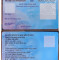 Pre Printed PAN ID Multi Color ID Card PanCard 100 PCs Pack PVC Plastic Card