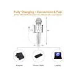 Multi-Function Hand Mic Speaker Bluetooth Wireless Singing Mike Hand Speaker