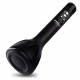 Handheld Wireless Microphone & Karaoke Feature Mic With Audio Recording Tourch Bluetooth Speaker