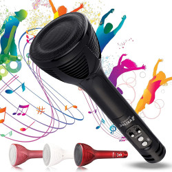 Handheld Wireless Microphone & Karaoke Feature Mic With Audio Recording Tourch Bluetooth Speaker Handheld Wireless Microphone & Karaoke Feature Mic With Audio Recording Tourch Bluetooth Speaker