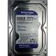 WD 500GB HDD Drive 3.5 Inch Western Digital Desktop Hard Disk