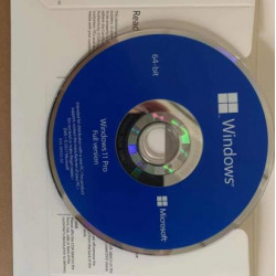 MICROSOFT Windows 11 Professional 1 Pc 64 Bit OEM Pack DVD Software