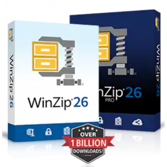 Winzip Standard Original ESD License Software